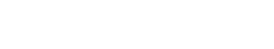 AmiNexa Logo